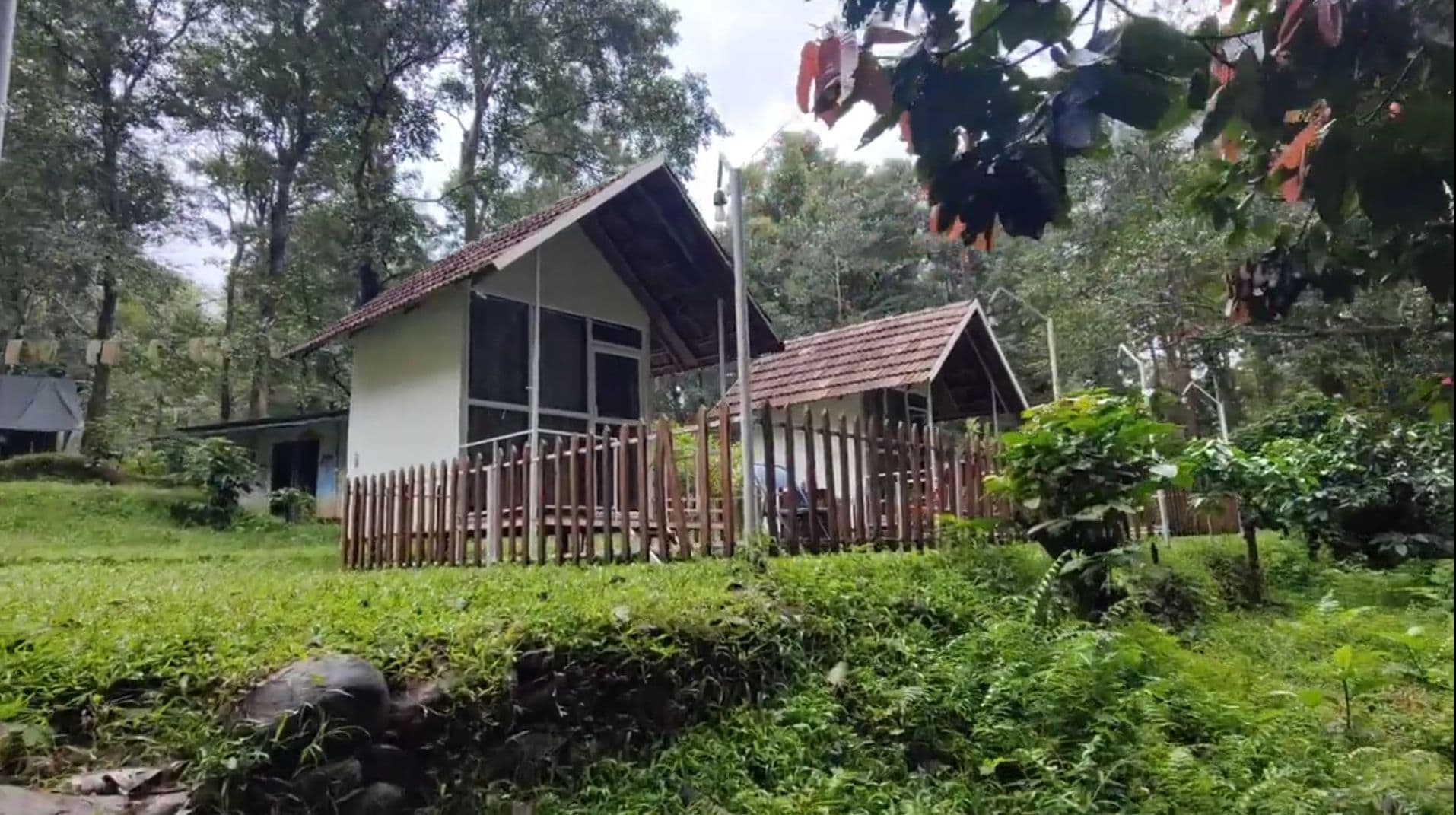Just 1500 wooden house stay